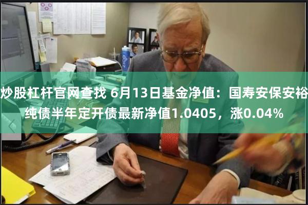 炒股杠杆官网查找 6月13日基金净值：国寿安保安裕纯债半年定开债最新净值1.0405，涨0.04%