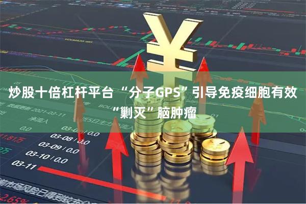 炒股十倍杠杆平台 “分子GPS”引导免疫细胞有效“剿灭”脑肿瘤