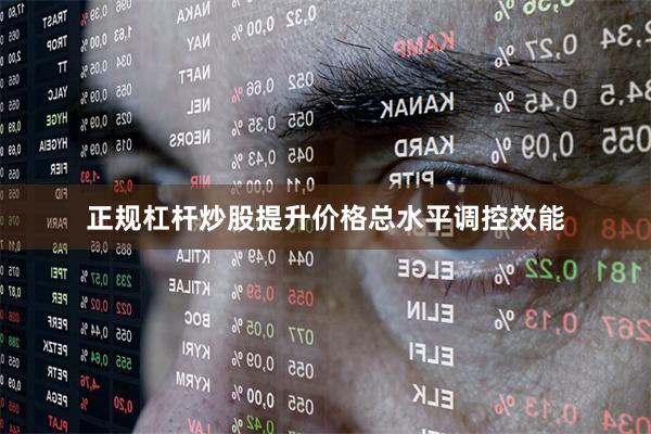 正规杠杆炒股提升价格总水平调控效能