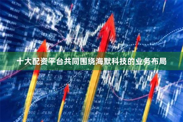 十大配资平台共同围绕海默科技的业务布局
